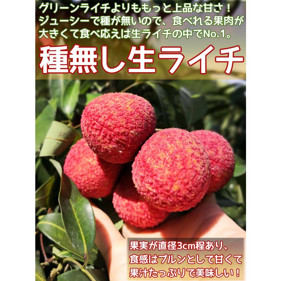 あの香りを、いつでも、どこでも。DAYLILY の ドライライチ