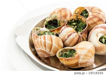 カタツムリの食習慣とエスカルゴの違い