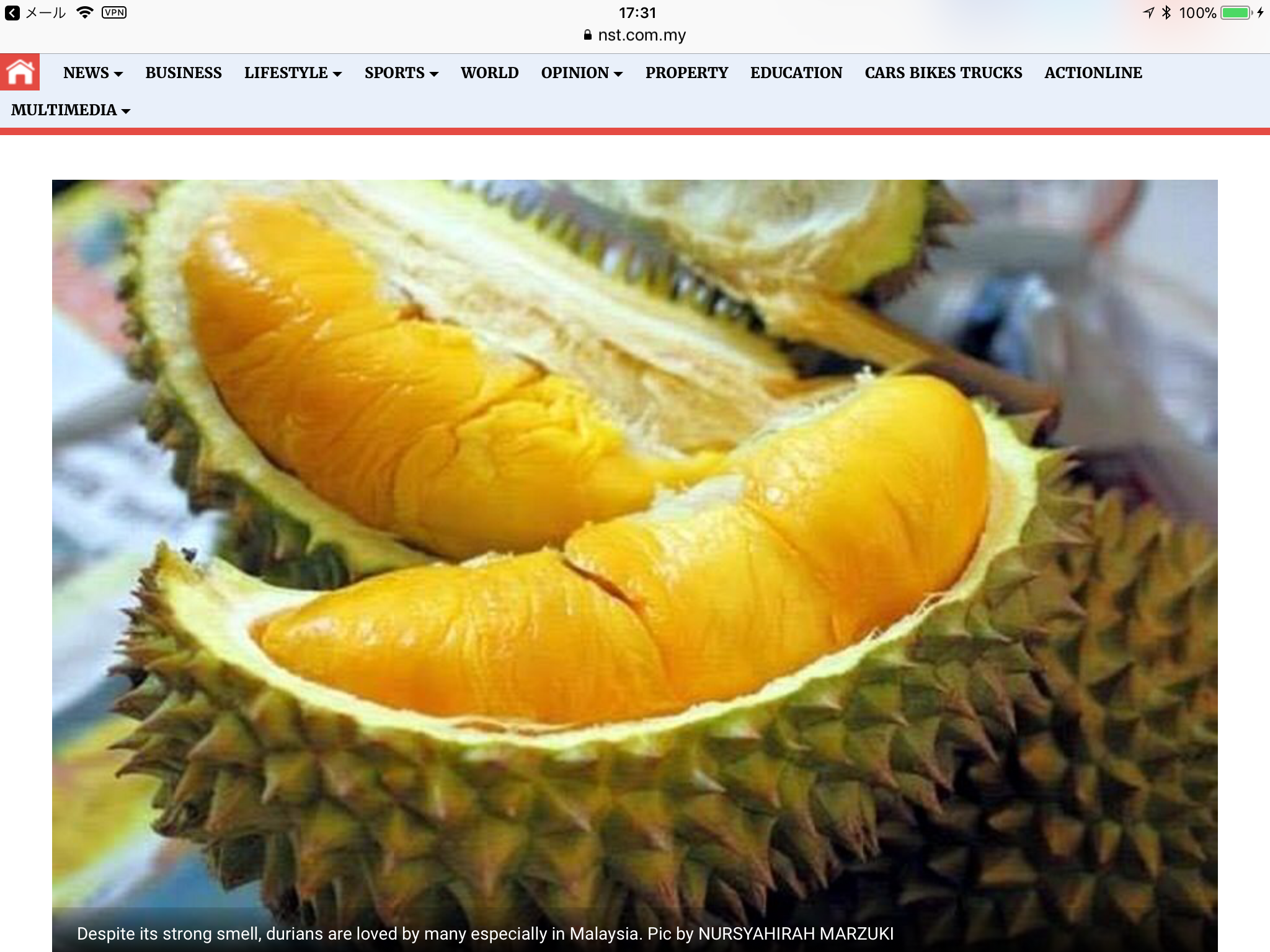 ドリアン情報 5強烈な臭いの科学的研究結果、 ドリアンとジャックフルーツ ;恐竜時代の風景 親和性- gary1212のブログ :マレーシア、イポーでの生活