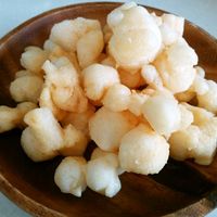 きょうの料理 かきもちの作り方河合真理さんのレシピOrdinary Days