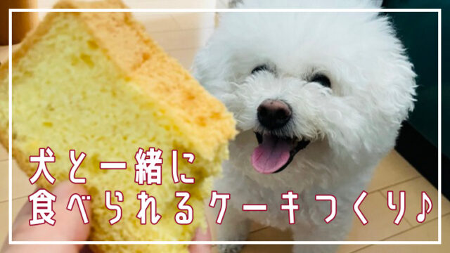基本からアレンジまで！思わずつくりたくなる「犬用 お菓子」のレシピ集クックパッド