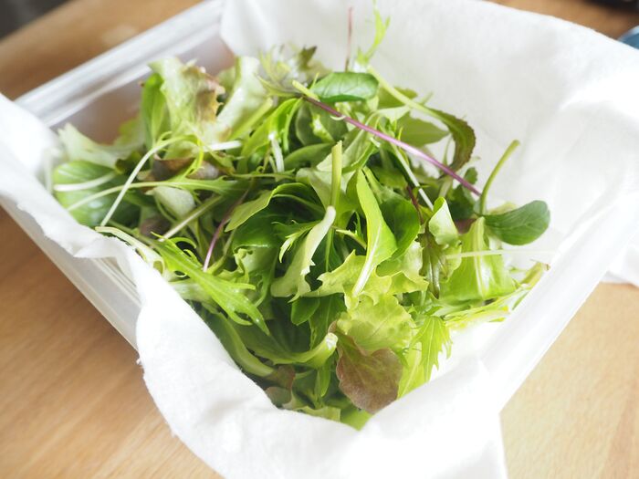 コストコの有機栽培ベビーリーフが超おすすめ！安心の国産野菜でミネラル豊富