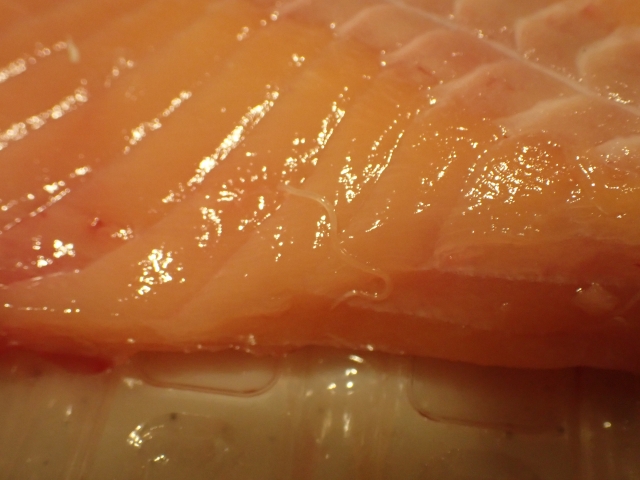 刺身にアニサキス？ 魚によくいる寄生虫6種とその対策記事カテゴリBuNa - Bun-ichi Nature Web Magazine文一総合出版