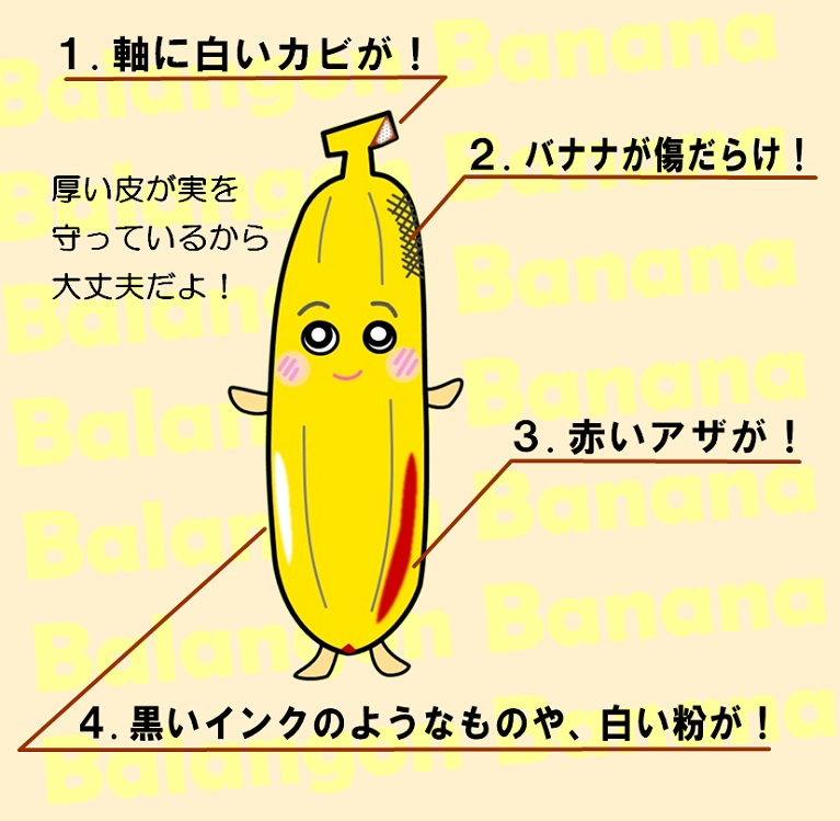 島バナナの白カビは心配ないです。 バナナの白カビ - おきのえらぶ島 なんでも情報