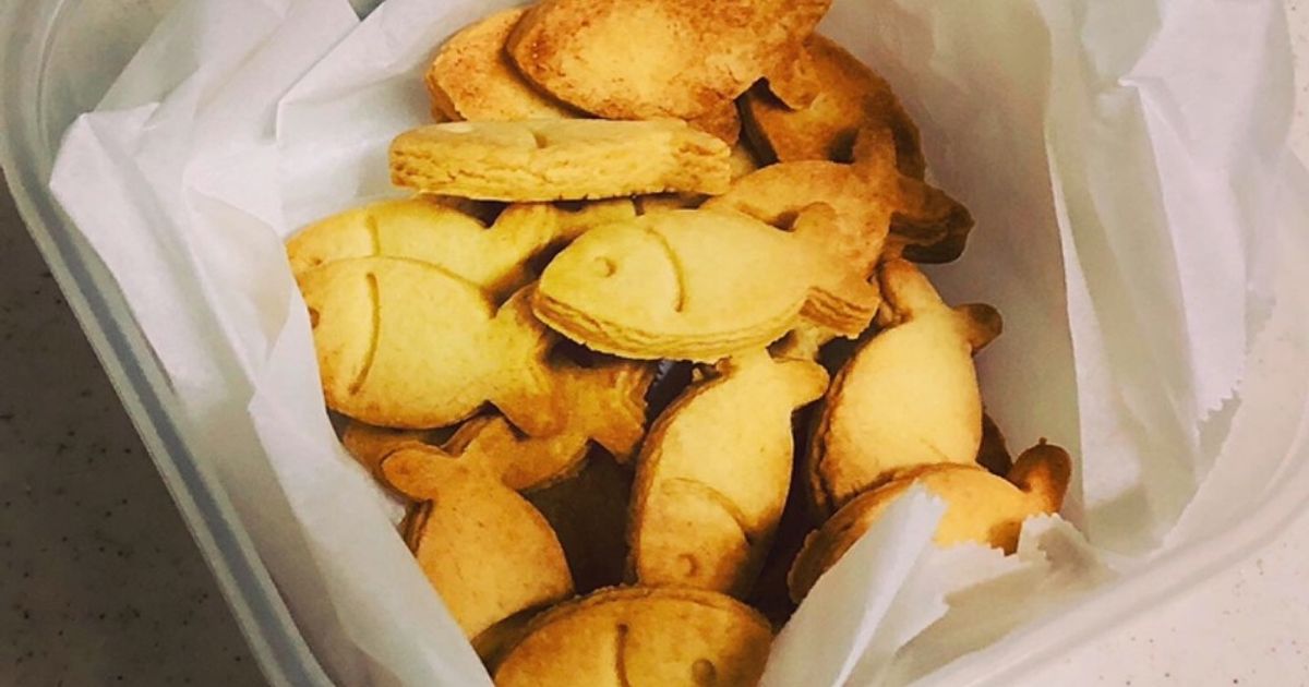 猫の恩返し風クッキー箱の作り方かわいい手作りアイデアとコツ