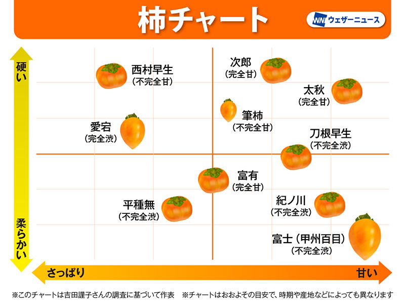 干し柿の原料に「渋柿」を選ぶ理由 実は甘柿より糖度が高い - ウェザーニュース