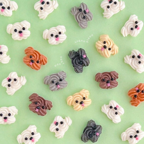 いろんな動物にクッキーTikTok