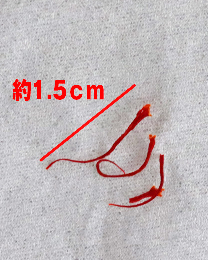 サフランとターメリックはどこが違うの?~英国菓子サフランバンズ~とこかしこのお菓子作りの日々 ~セカンドステージはお菓子作りとともに~~