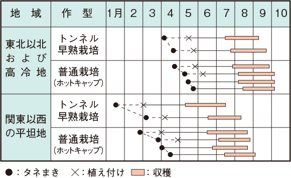 かぼちゃの収穫時期の見極め方を写真解説！収穫後に甘くするには？🍀GreenSnap グリーンスナップ