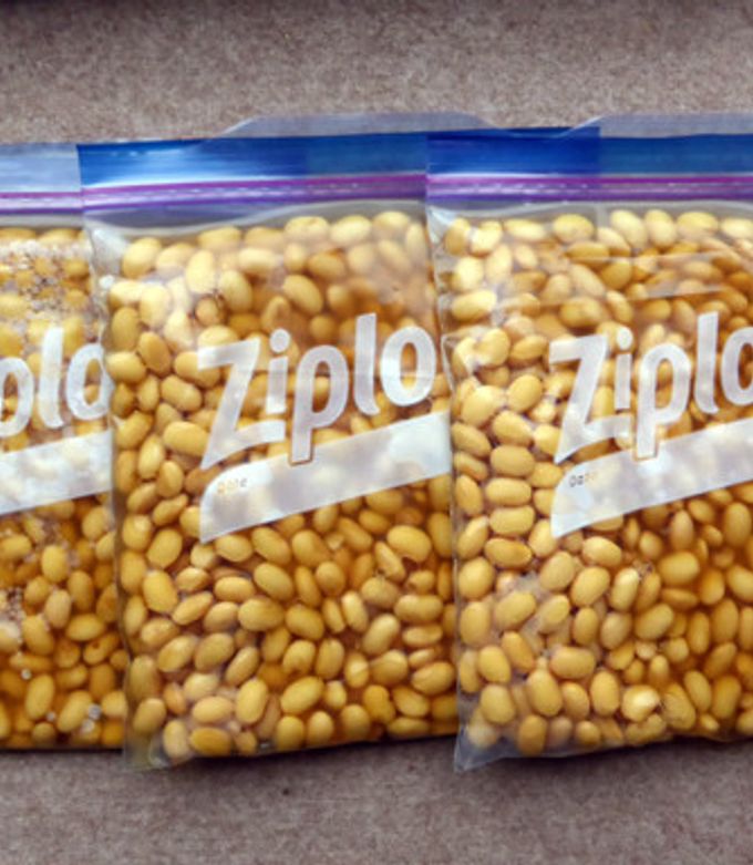 お弁当作りが楽になる！蒸し豆を使った時短冷凍弁当の魅力蒸し大豆情報サイト「蒸し大豆タウン」