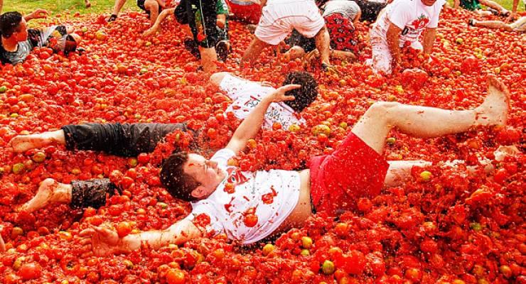 楽天市場 トマト おもしろの通販