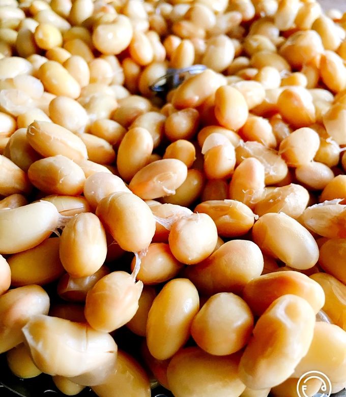 乾燥大豆の戻し方と蒸し方