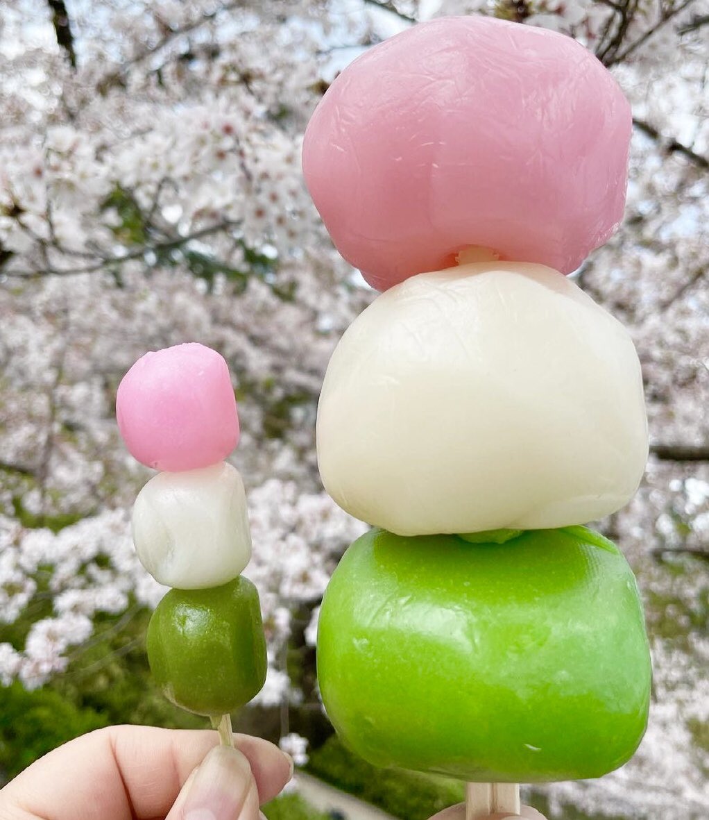 岡崎公園お花見 通常の13倍！巨大な花見だんごさんぽみちで迷子