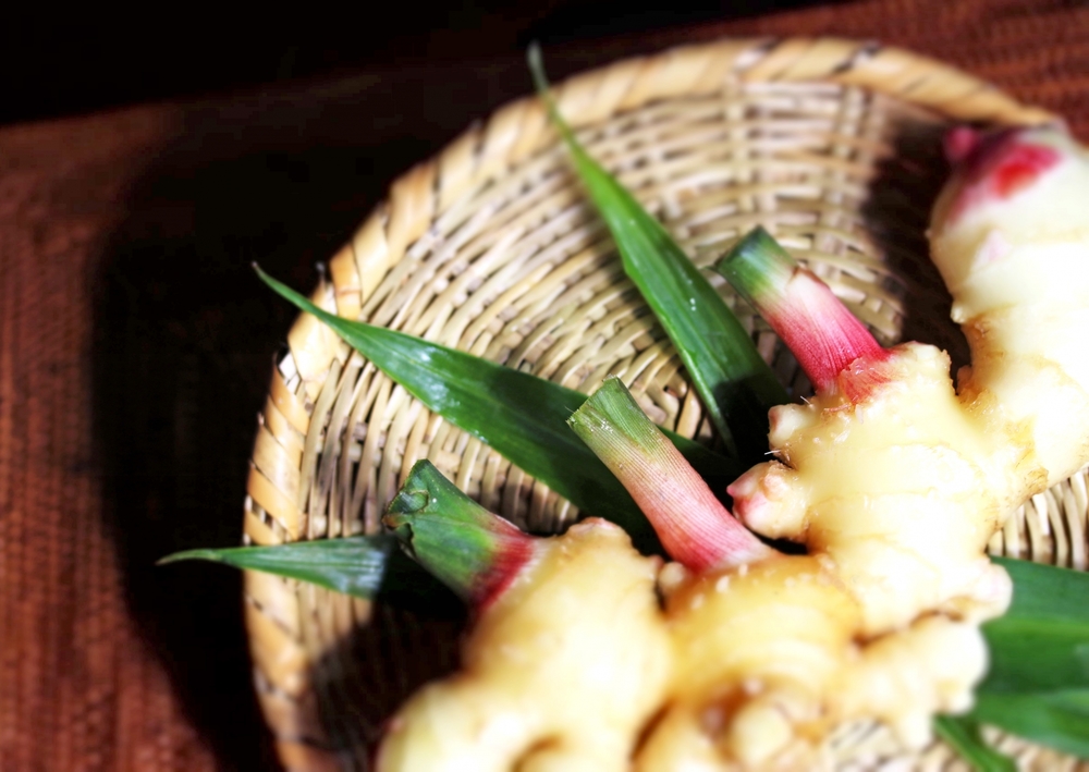 新生姜の旬の時期はいつ？産地や栄養成分、おすすめの食べ方をご紹介ふるなび公式ブログ ふるさと納税DISCOVERY