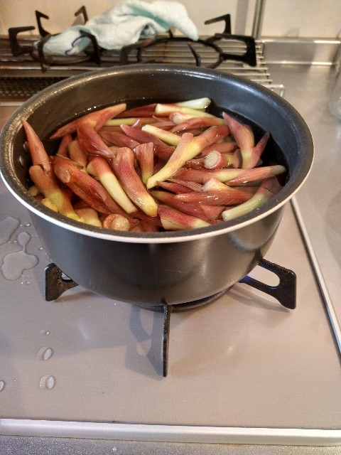 自家製ぬか漬け︰みょうがの忘れ物生まれてから17299日までを消し去りたい独女のブログ