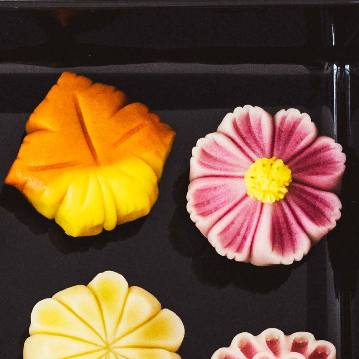 和菓子の店 舞の夢 四季の舞 上生菓子