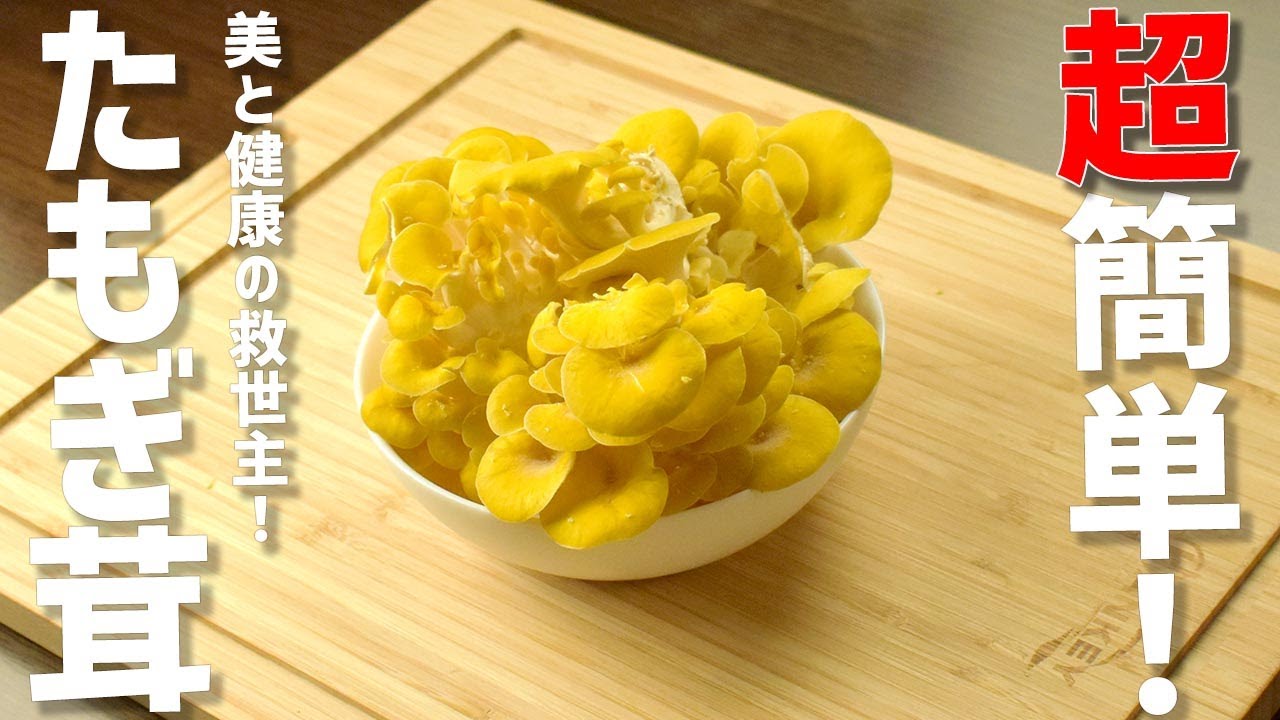 たもぎ茸の味噌汁 しろくまSnapdish スナップディッシュID:Xun8Da