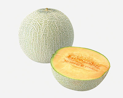 ハミウリ概要 - ハミウリ