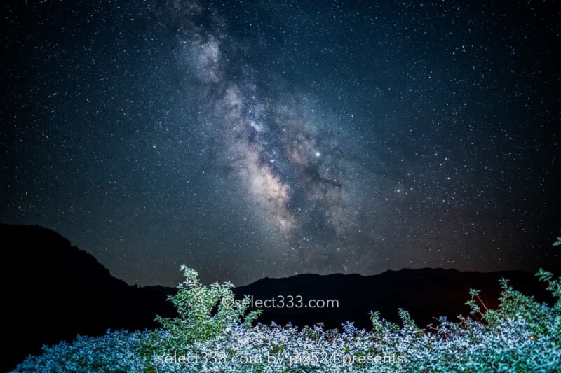 天下一品四国中央店こってりラーメン日替わり定食天一愛媛県四国中央市俺のらーめん