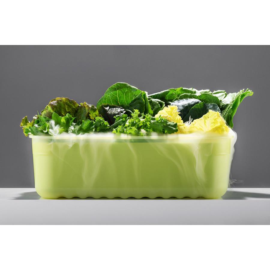 保存版!いつもシャキシャキ我が家のお野菜保存法♡*ずずキッチン♪毎日晴れ*