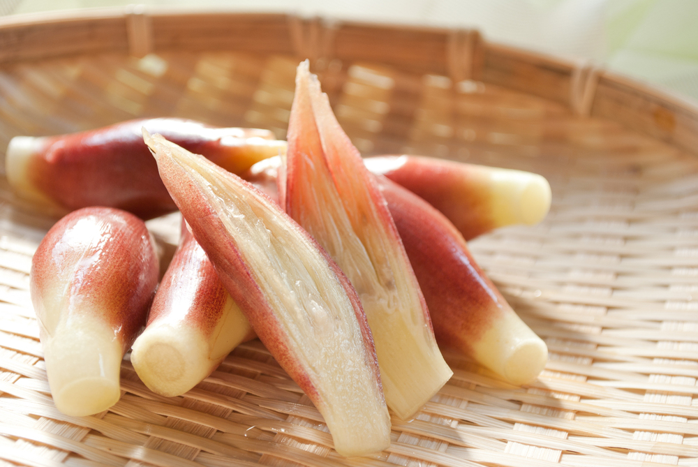 みょうがの大量消費に！みょうがの甘酢漬け by HANa☆Kクックパッド簡単おいしいみんなのレシピが392万品