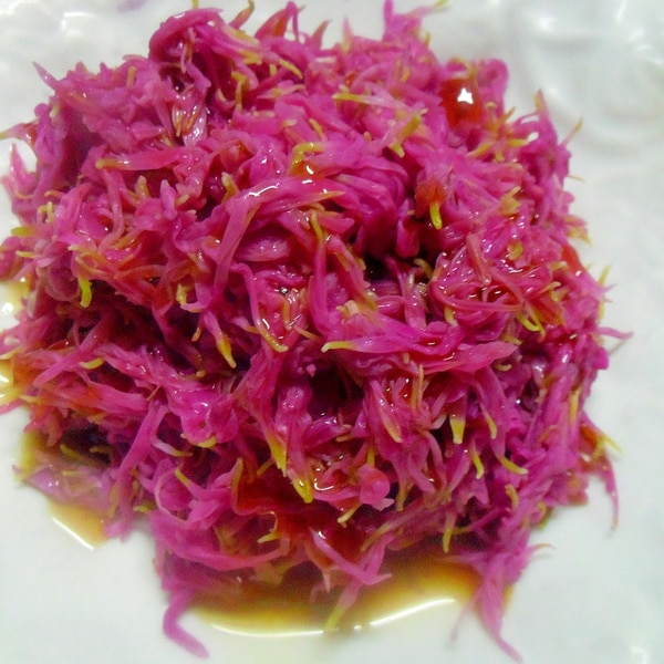 アルバム詳細新宿保育園