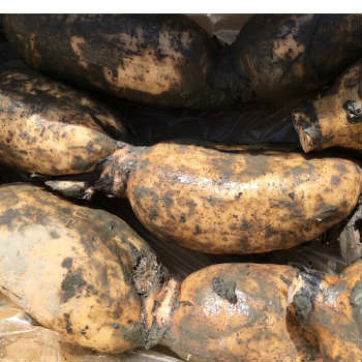 実は、とっても簡単！レンコンの下処理。洗い方、皮の剥き方、アク抜き、下茹での仕方を丁寧に解説します。 N.D.Kitchen- エキスパート -Yahoo!ニュース