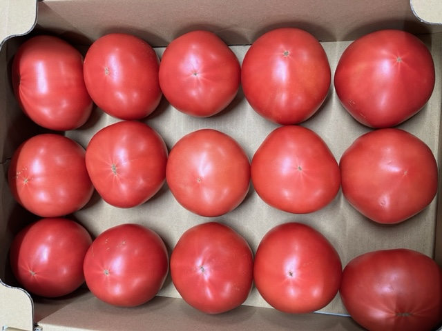 フルーツ容器 紙ベジ95角 赤 FMS エフピコチューパテイクアウト容器の通販サイト 容器スタイル