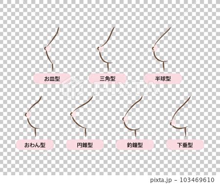 あなたはどのタイプ？】形はいろいろ。バストタイプを知って美胸を目指す。｜バック＆ハク下着エステ・オンラインショップ