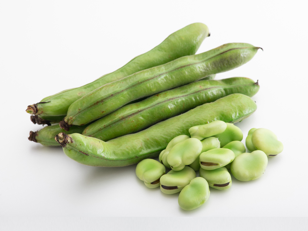 そら豆をおいしく冷凍保存する方法は？ 冷凍や解凍方法のコツをご紹介