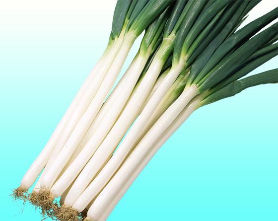 ネギの種類について解説!それぞれの特徴やレシピもご紹介デリッシュキッチン