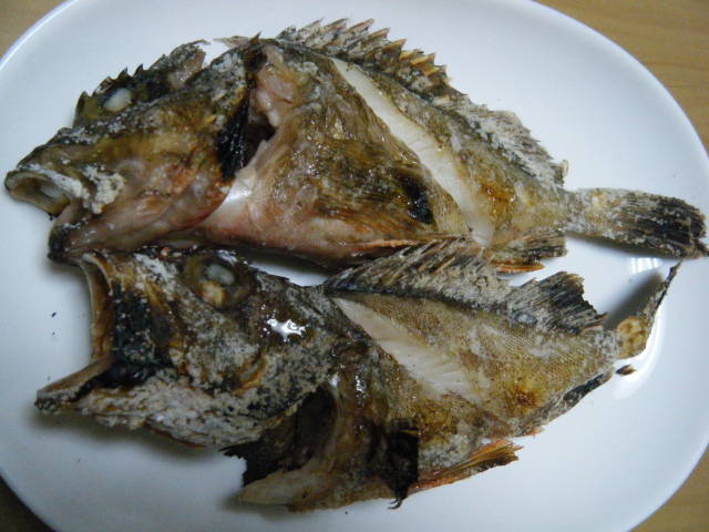 キスの塩焼き、カサゴのアクアパッツァなどカワハギの肝