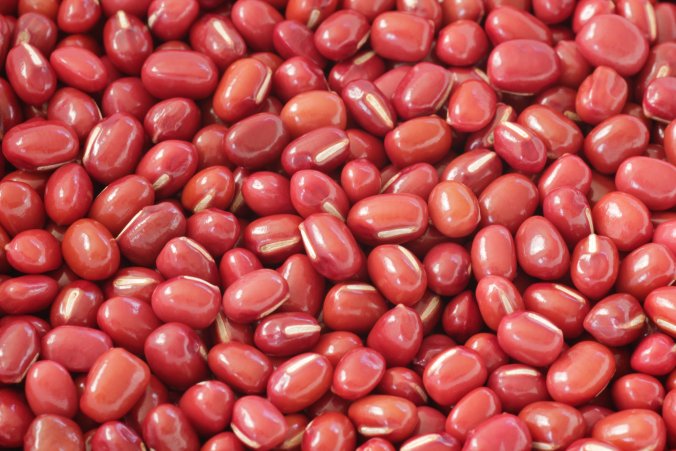 小豆 あずき ？ いいえ、ささげ豆ですよ。 - 田舎の一軒家 こだわり農家