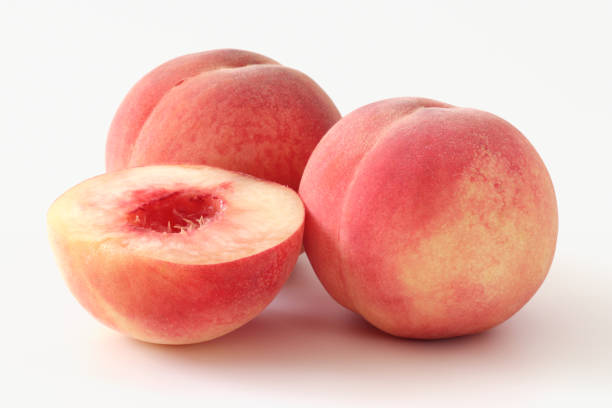 ラフタッチの桃イラストのフリー素材イラストイメージ