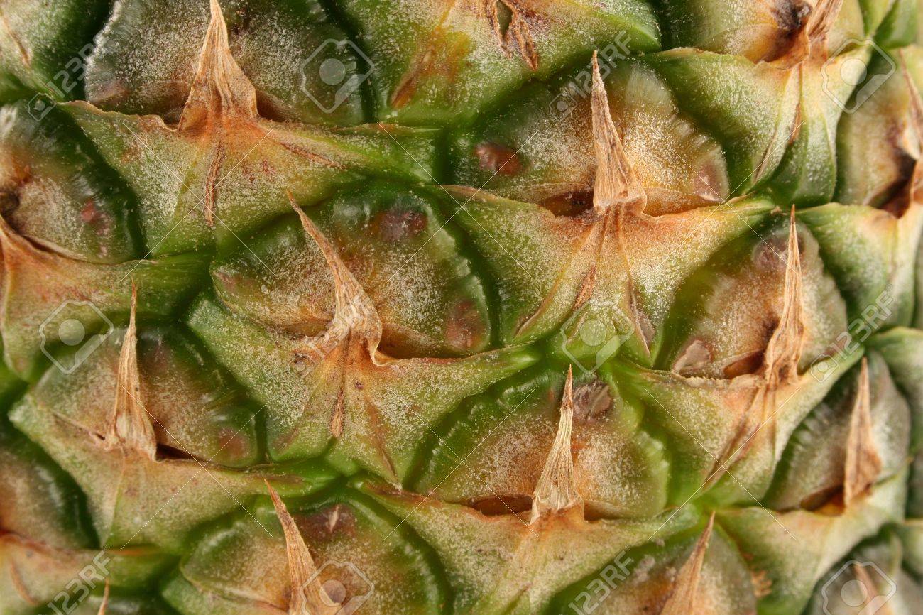 業務用パイナップル皮むき機の決定版「KA-750PM大助」 リニューアルのご案内株式会社アストラのプレスリリース