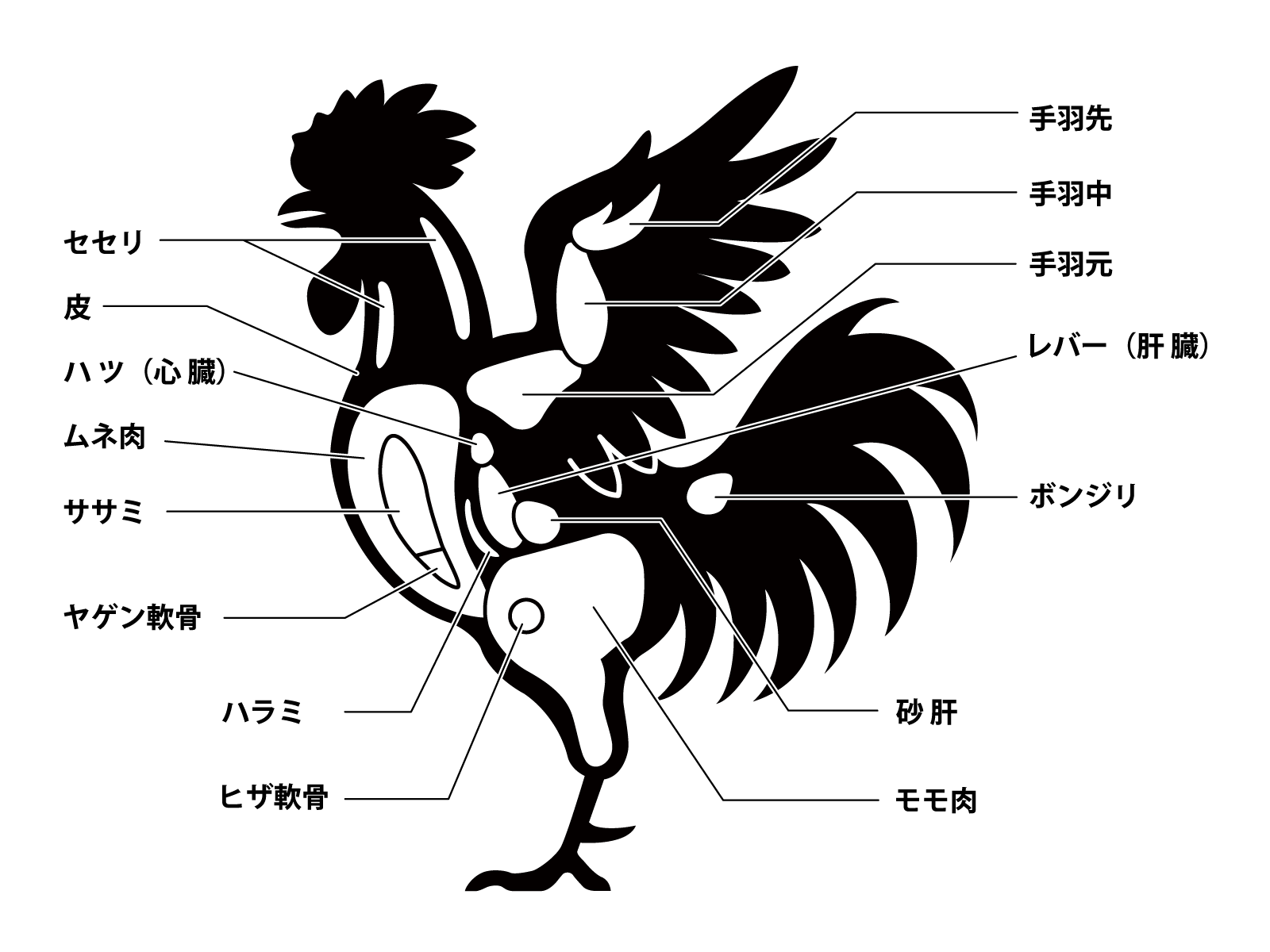 ハツの部位はどこ?食用3種類 牛・豚・鳥 を徹底解説! - お肉の専門書