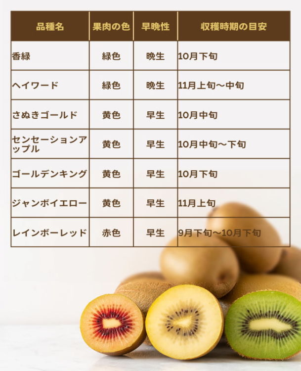 キウイ収穫時期の見極め方：旬を逃さず美味しく味わう