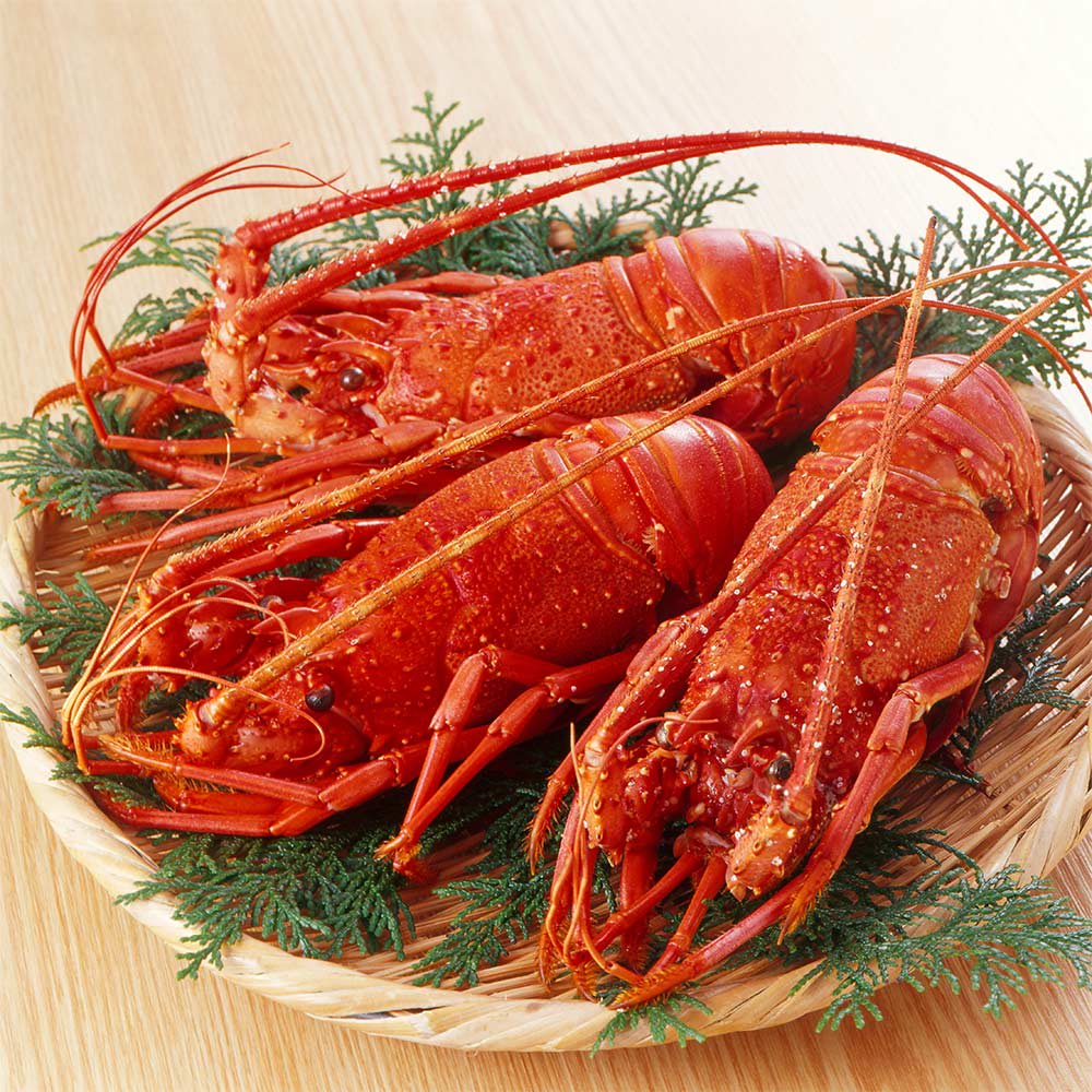 エビ消費大国「日本のエビ食文化」ふるさと産直村