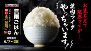 個別「並でも漫画盛りのご飯」の写真、画像 - 元・ 東京 江戸御府内八十八ヶ所順打ち巡礼記 遍路 の写真庫