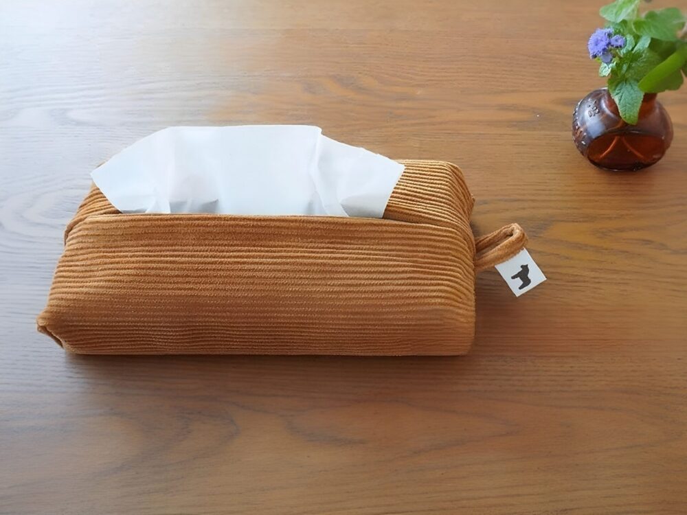 金魚すくいのポイドンキの100円ポイはティッシュで何度でも使える