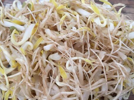 もやしのひげ根や芽はみんな取ってるの？栄養や毒性は？一袋にかかる時間とコツ！ – 菜乃'sライブラリ