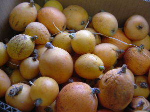 自家製びわジャムのお味はいかに - リヨンからBonjour