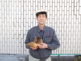 たけのこのアク抜きや保存 図解糠無しでも下処理OK食べ太郎.com