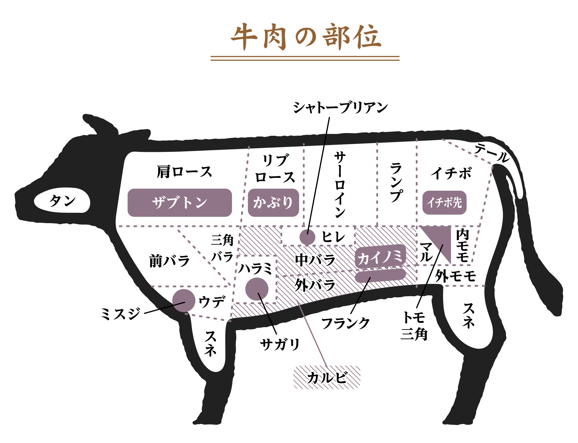 部位の説明 高槻 焼肉しがらき 公式ウェブサイト