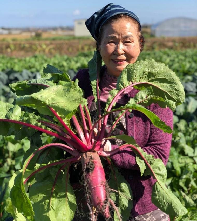 愛され野菜「トマト」のちょっといいお話 その2トマトはなぜ赤いのか – 長野ベリーファーム
