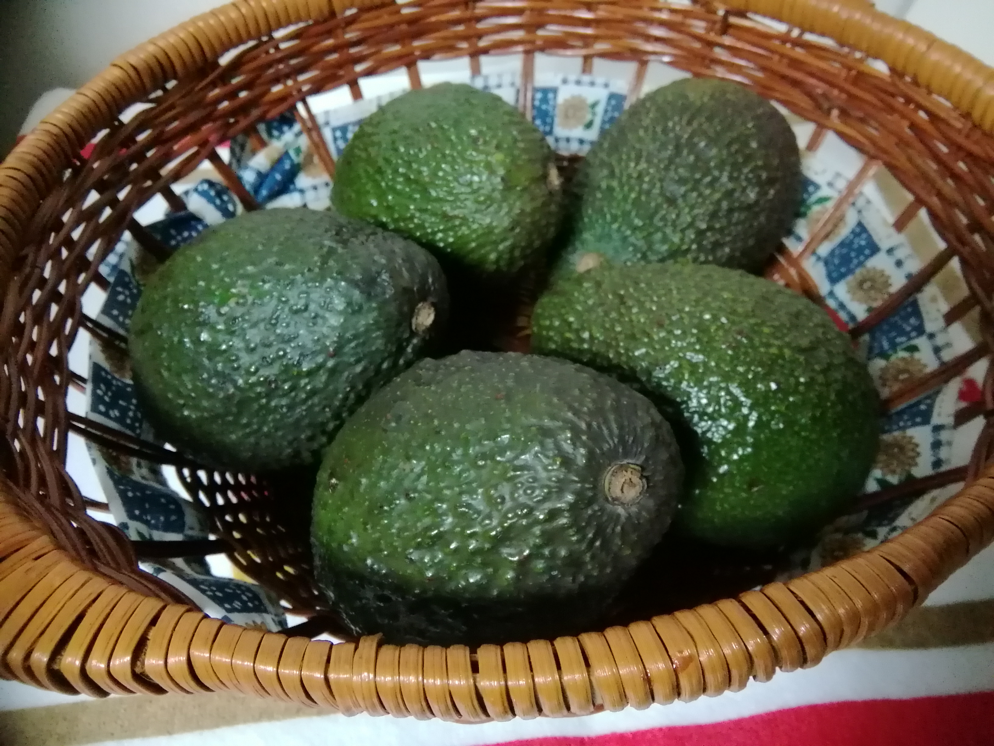 コストコのアボカドってどう？固いけど美味しい？食べごろ・値段・レシピを徹底レビューコストコ便利帳