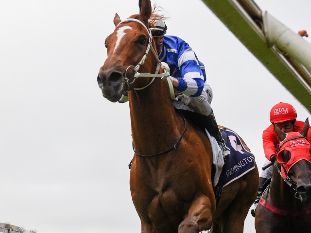 新DCドラマ「ブラック・ライトニング」最新予告編が到着 ─ 主人公の娘の能力が覚醒か、「興奮必至」米メディア絶賛コメントもTHE RIVER