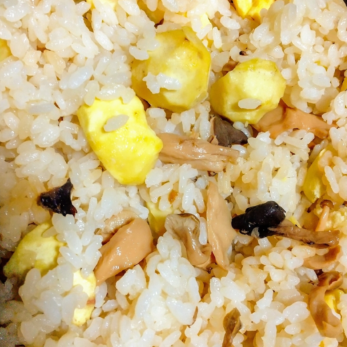 3合炊き炊飯器で！ 栗と豚肉の炊き込みご飯