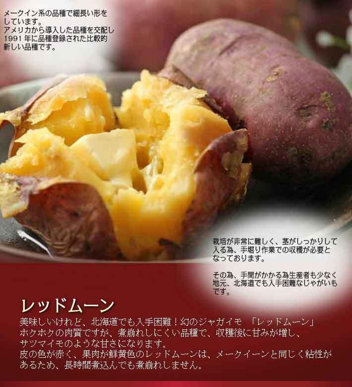 じゃがいも大阪市中央卸売市場