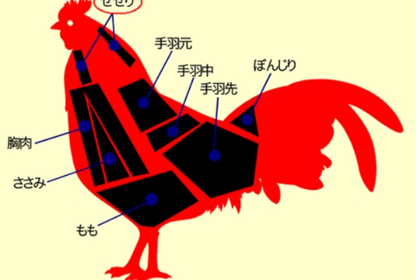 ぼんじりはどこの部位？～ぼんじりの特徴について解説～鶏びあ名古屋コーチン・さんわの手羽先お取り寄せ 鶏三和の公式通販